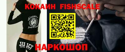 соль ск Сланцы