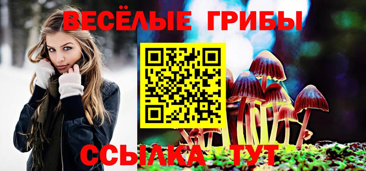 Отрадный  Галлюциногенные грибы Magic Shrooms  Вход с VPN 